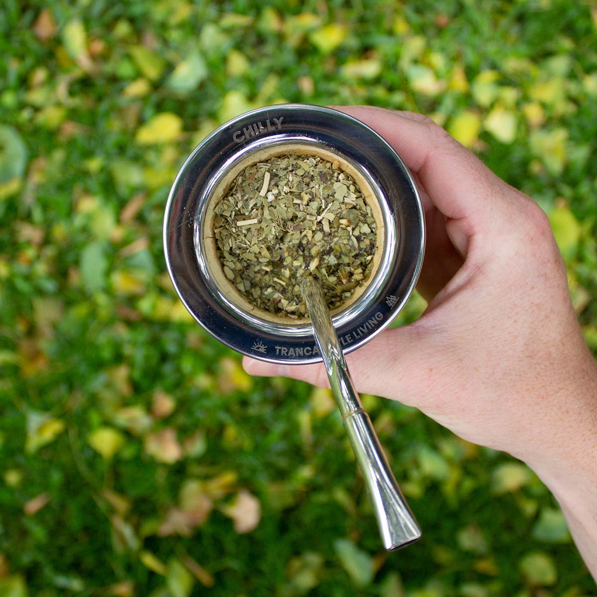 Mate y Bombillas By Tabaré