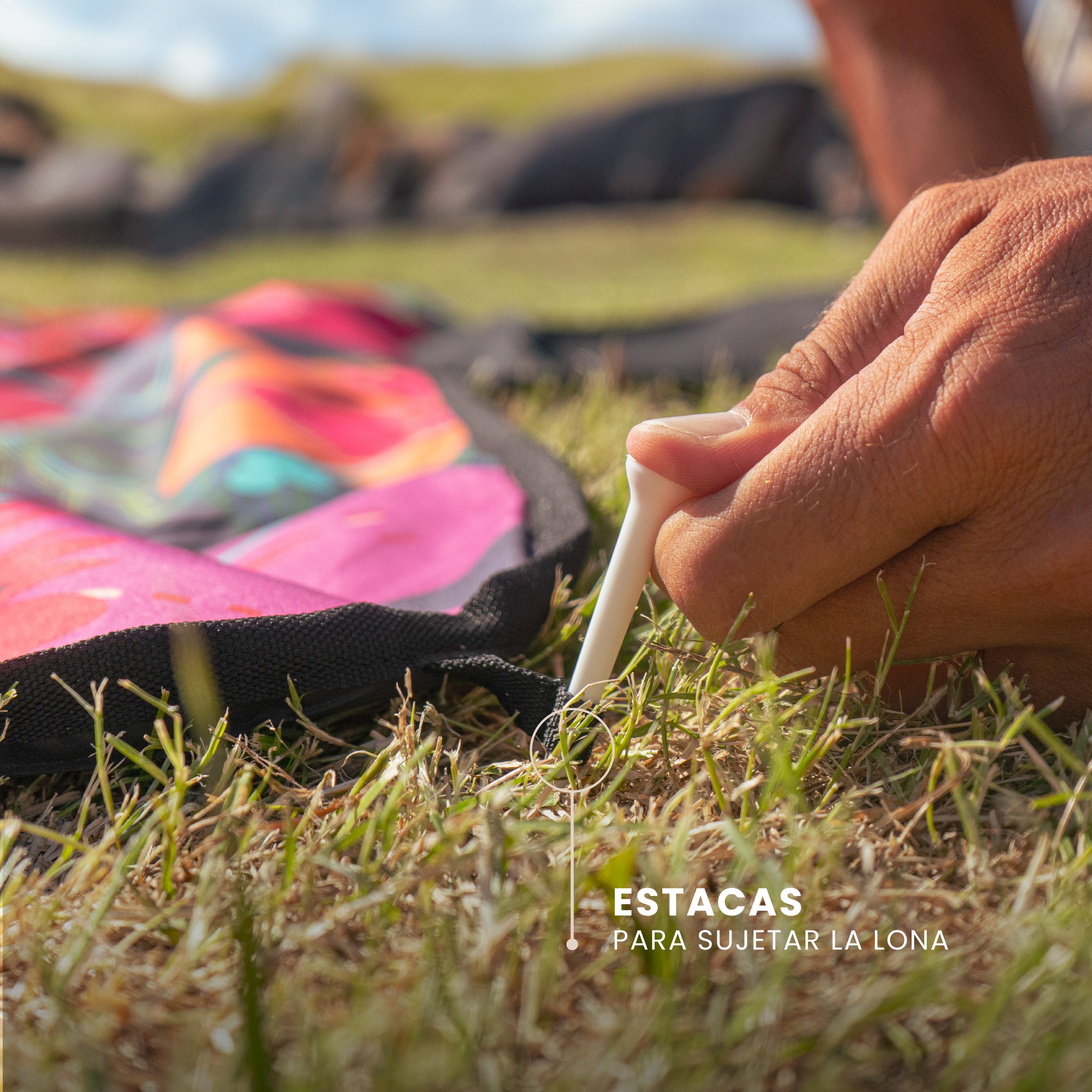 Lona Picnic HIBISCUS PURPLE by REEF