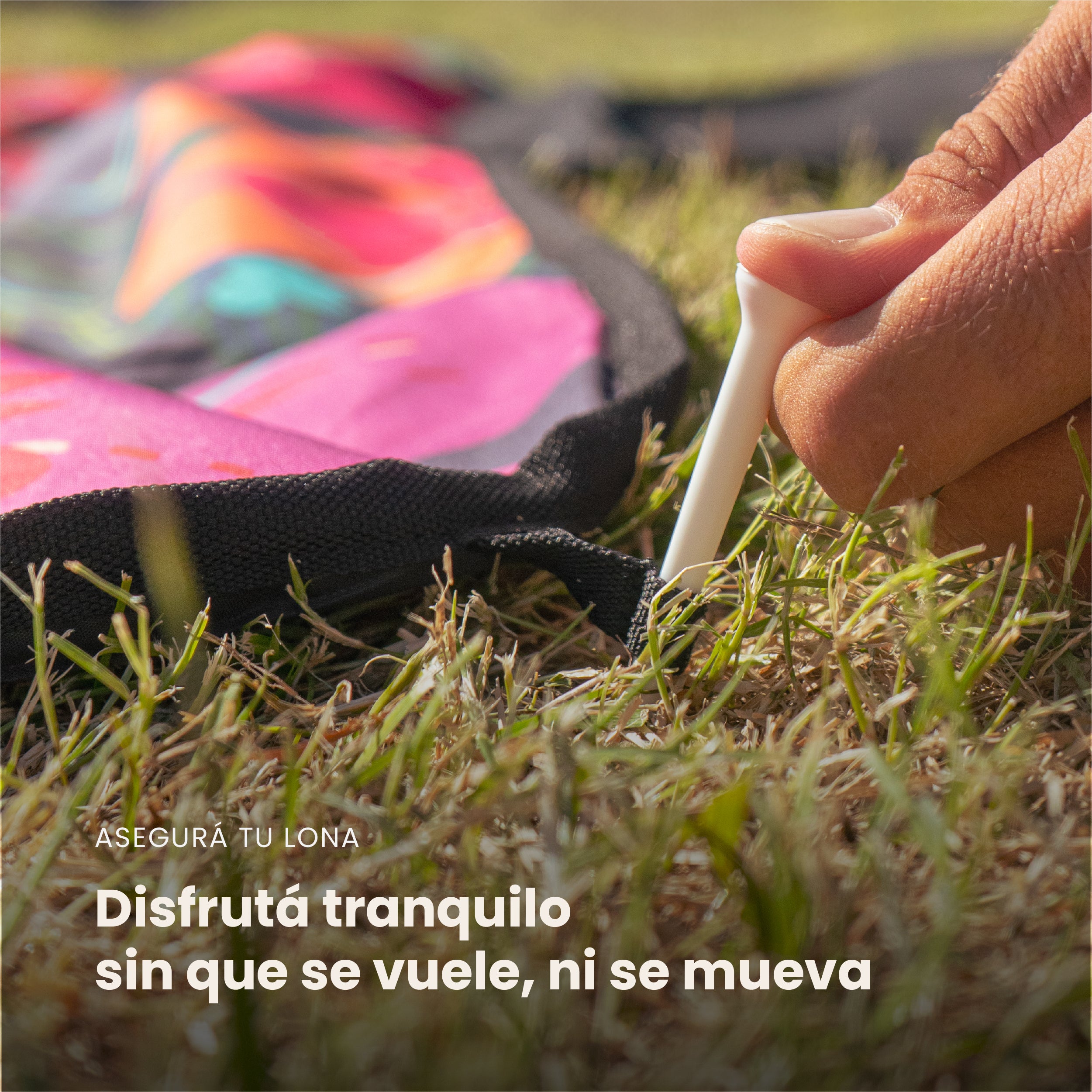 Lona Picnic River Plate CARP